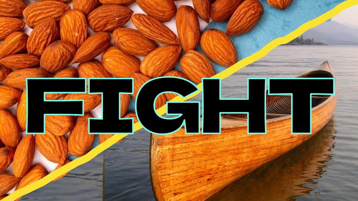 Almonds and a canoe side-by-side. Large bold text ’FIGHT’ is overlaid between them